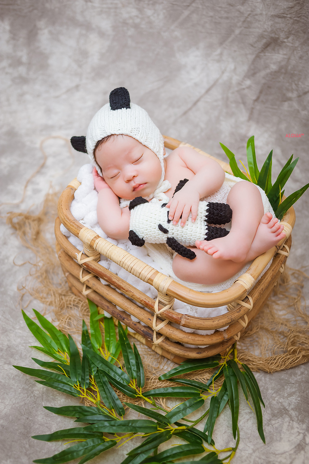 album ảnh newborn 23